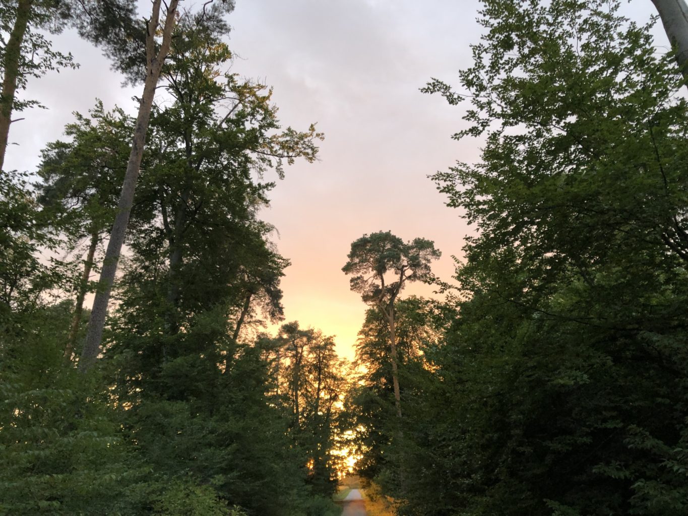 Sonnenuntergang