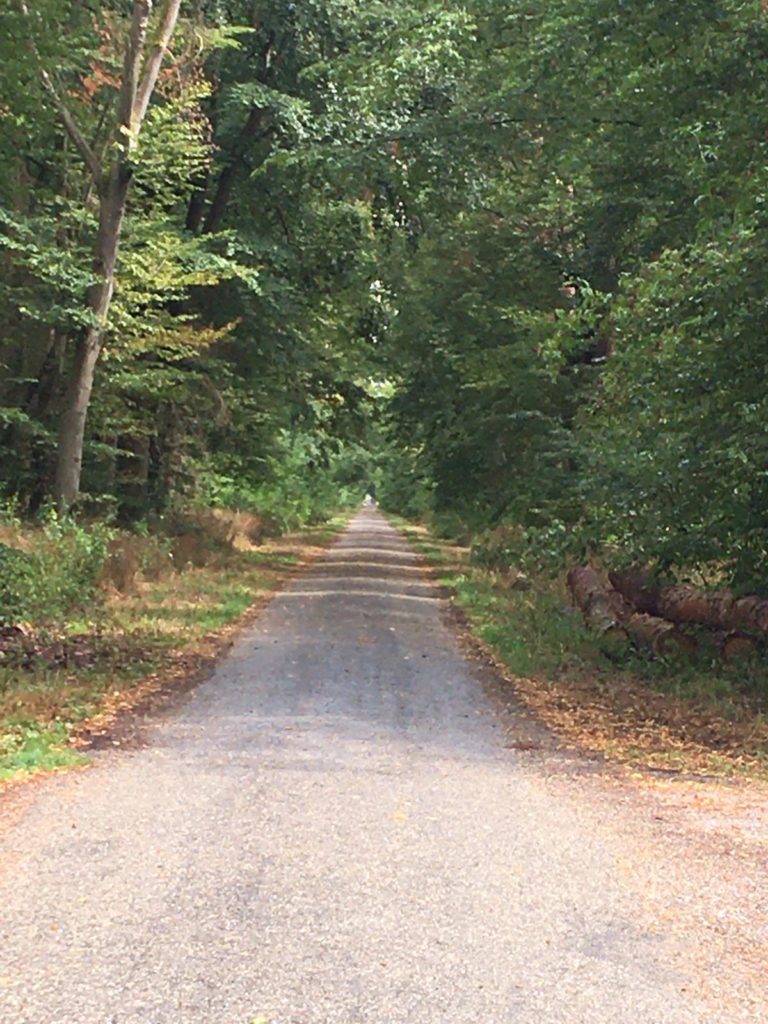 Der Weg ist das Ziel